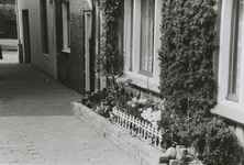 863322 Afbeelding van een border met bloeiende planten voor de woning Korte Hamstraat 3 in Wijk C te Utrecht, bewoond ...